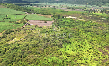 RANCHO EN VENTA EN VILLA CORONA, JALISCO