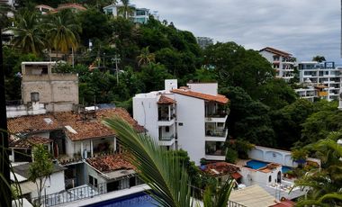 Paraiso Tropical