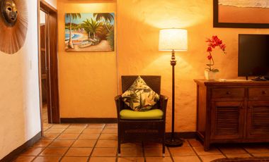 Paraiso Tropical
