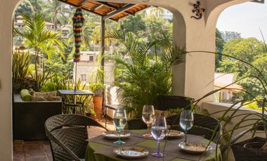 Paraiso Tropical