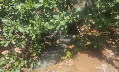 Se vende finca de 4.22 HAS en Aguadulce Interamericana