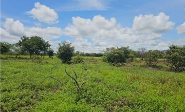 Se vende finca de 4.22 HAS en Aguadulce Interamericana