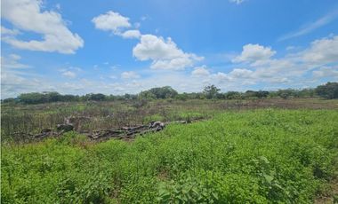 Se vende finca de 4.22 HAS en Aguadulce Interamericana