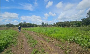 Se vende finca de 4.22 HAS en Aguadulce Interamericana