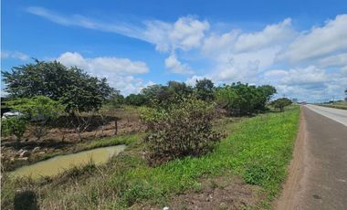 Se vende finca de 4.22 HAS en Aguadulce Interamericana