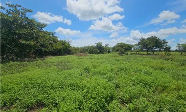 Se vende finca de 4.22 HAS en Aguadulce Interamericana