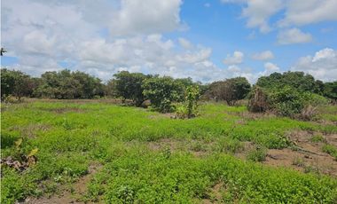 Se vende finca de 4.22 HAS en Aguadulce Interamericana