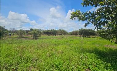 Se vende finca de 4.22 HAS en Aguadulce Interamericana