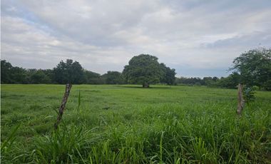 Se vende finca de 2.8 hectáreas en Llano Marin, Penonomé
