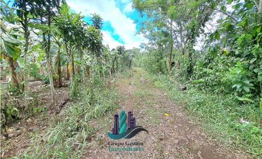 VENDO UNA HECTAREA EN AREA RURAL