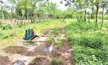 VENDO UNA HECTAREA EN AREA RURAL