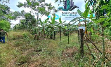 VENDO UNA HECTAREA EN AREA RURAL