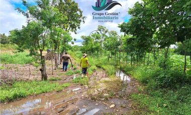 VENDO UNA HECTAREA EN AREA RURAL