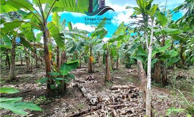 VENDO UNA HECTAREA EN AREA RURAL