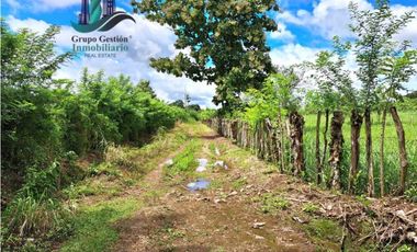 VENDO UNA HECTAREA EN AREA RURAL