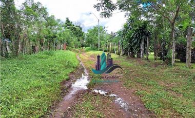 VENDO UNA HECTAREA EN AREA RURAL