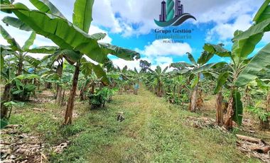 VENDO UNA HECTAREA EN AREA RURAL