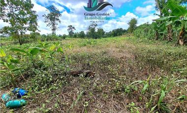 VENDO UNA HECTAREA EN AREA RURAL