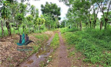 VENDO UNA HECTAREA EN AREA RURAL