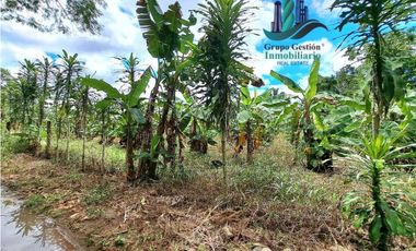 VENDO UNA HECTAREA EN AREA RURAL