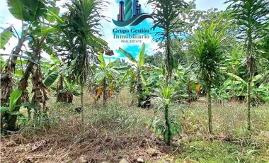 VENDO UNA HECTAREA EN AREA RURAL