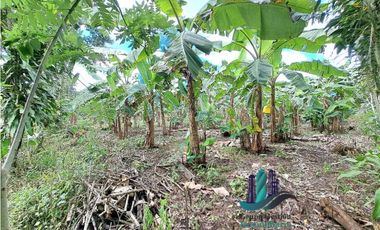 VENDO UNA HECTAREA EN AREA RURAL
