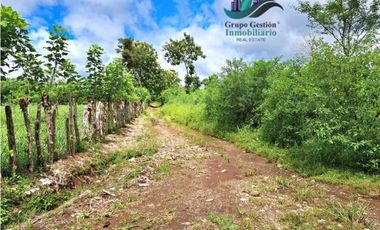 VENDO UNA HECTAREA EN AREA RURAL