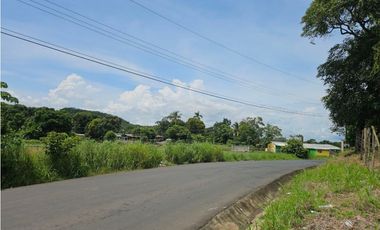 Se vende finca comercial de 1.5 has en La Chorrera