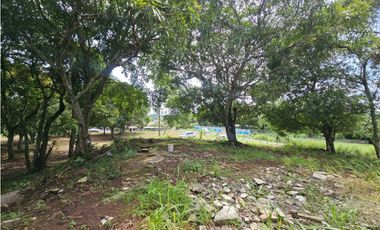 Se vende finca comercial de 1.5 has en La Chorrera
