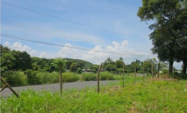 Se vende finca comercial de 1.5 has en La Chorrera