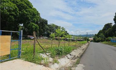 Se vende finca comercial de 1.5 has en La Chorrera