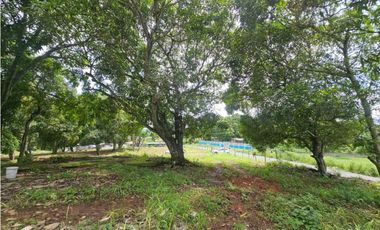 Se vende finca comercial de 1.5 has en La Chorrera