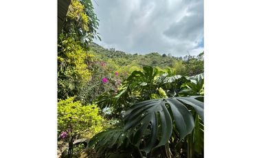 SE VENDE FINCA ECOTURISTICA EN SALÓNICA VALLE 