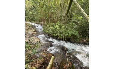 SE VENDE FINCA ECOTURISTICA EN SALÓNICA VALLE 