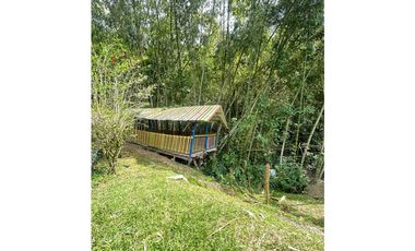 SE VENDE FINCA ECOTURISTICA EN SALÓNICA VALLE 