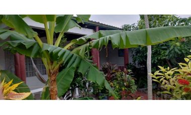 Se vende casa Económica en la zona urbana de Apulo