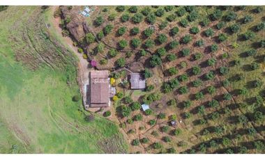 Finca Vía Don Diego - La Ceja Sector El Chuscal