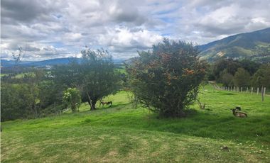 VENTA O ARRIENDO CASA CAMPESTRE UN PISO SOPO