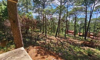 Bonita cabaña en construcción para remodelación en zona céntrica de mazamitla, Jalisco con vista panorámica al bosque.