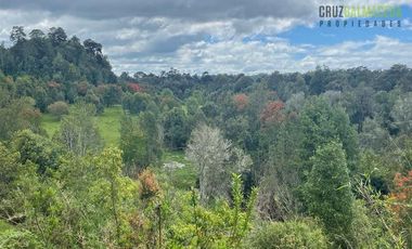 Parcela en Venta en Cercano a Nueva Braunau