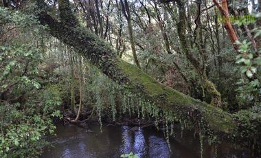 Parcela en Venta en Cercano a Nueva Braunau