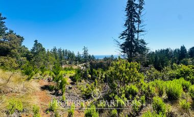 Pichilemu, Terreno en Condominio