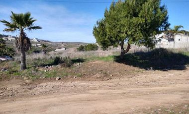 TERRAZAS DEL MAR, LOMA DE ROSARITO SUR, KM 37 CARRETERA LIBRE TIJUANA ENSENADA