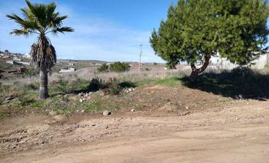 TERRAZAS DEL MAR, LOMA DE ROSARITO SUR, KM 37 CARRETERA LIBRE TIJUANA ENSENADA