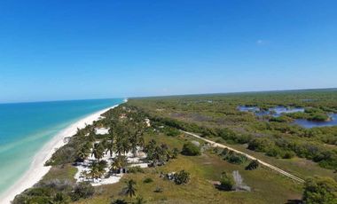 TERRENO EN CELESTUN ORILLA DEL MAR