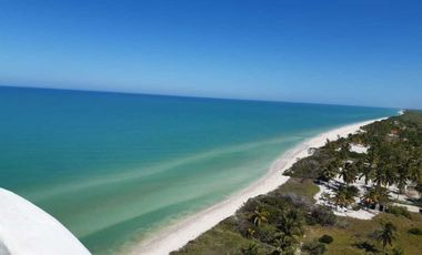 TERRENO EN CELESTUN ORILLA DEL MAR