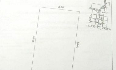 TERRENO EN PRIVADA DZIZIL HA