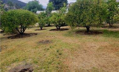 QUINTA DE VENTA SECTOR MIRASIERRA