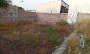 TERRENO COMERCIAL EN RENTA