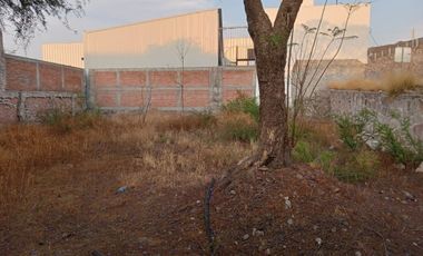 TERRENO COMERCIAL EN RENTA